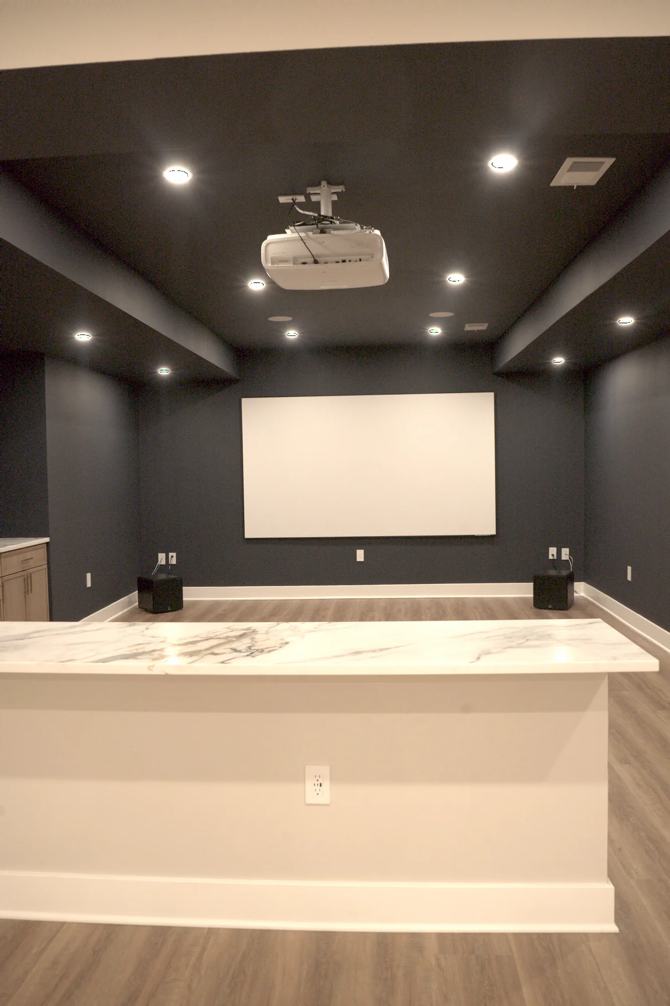 Home Theater